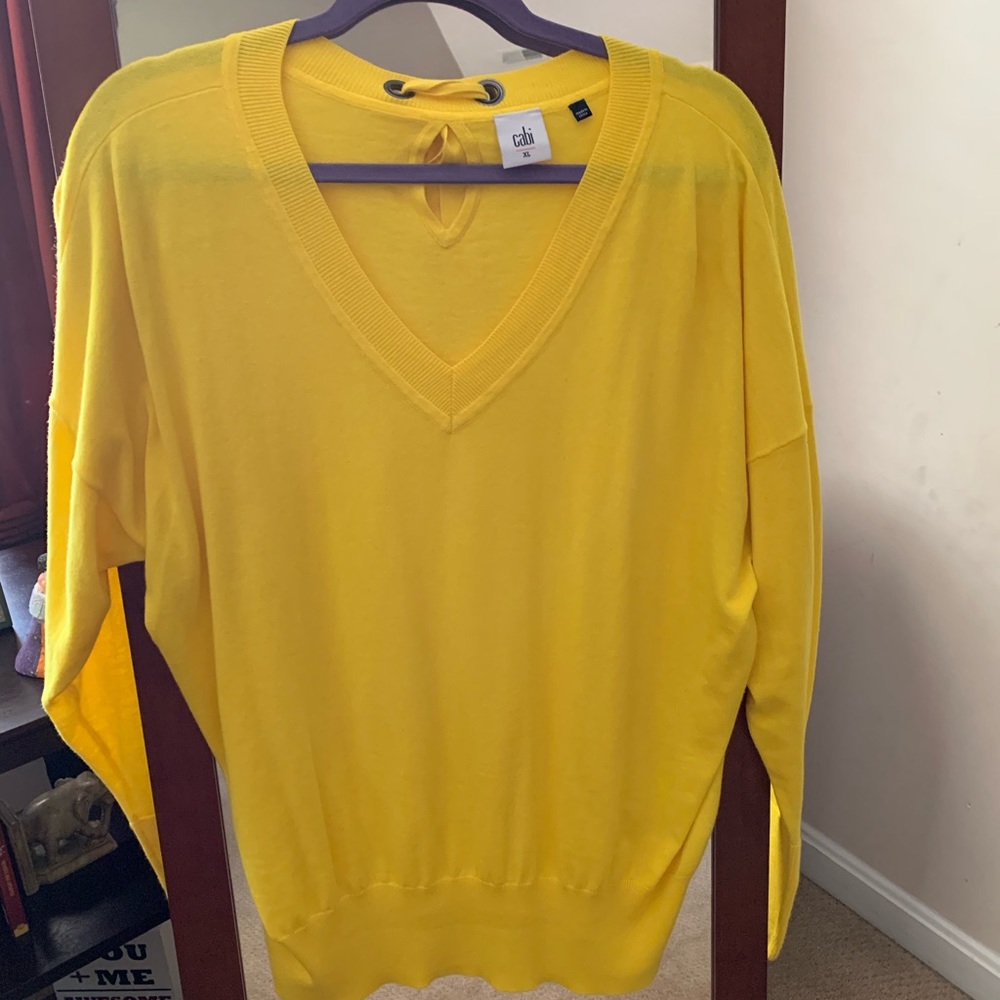 Cabi Canary pullover sweater